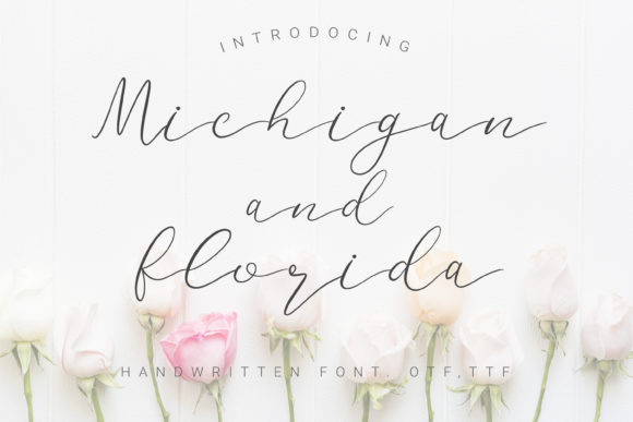 Elevate Your Web Design with Michigan and Florida Font
