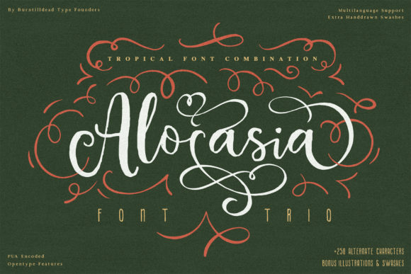 Enhance Your Brand with Alocasia: A Versatile Trio Font