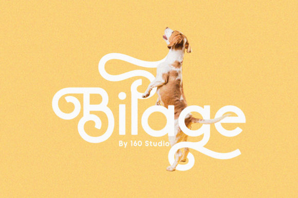 Enhance Your Brand with Bilage: A Charming Handwritten Font