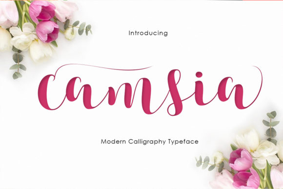 Enhance Your Brand with Camsia: A Versatile Handwritten Font
