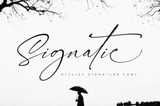 Enhance Your Campaign with Signatie: A Stylish Script Font