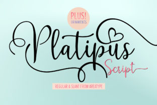 Platipus: A Versatile Script Font for Web Design